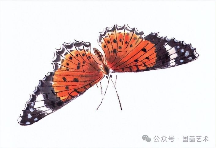 扇子的画法步骤图