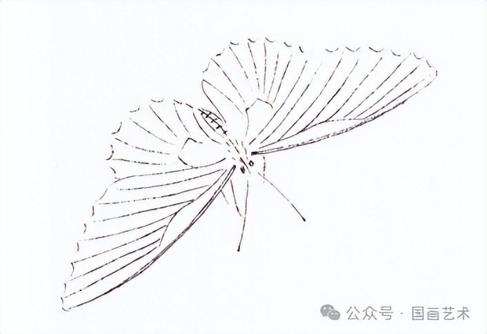 扇子的画法步骤图