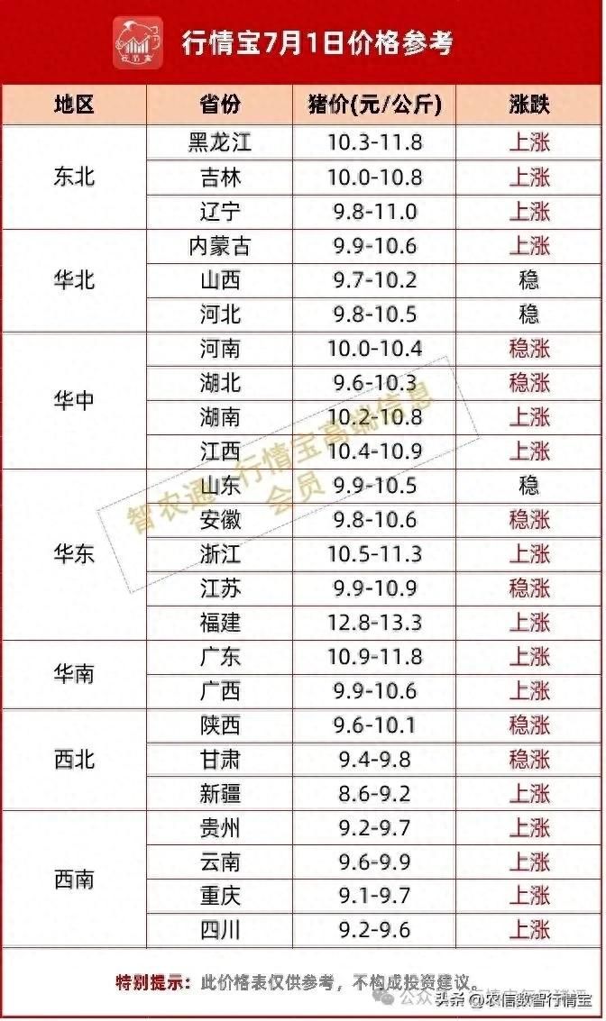 济源猪价行情