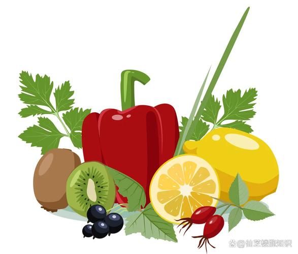 维生素和矿物质及有高生物价值的蛋白质