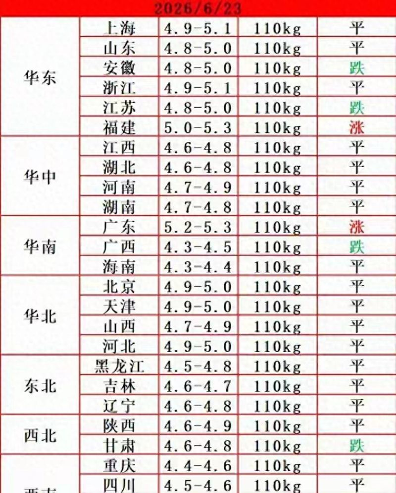 济源猪价行情