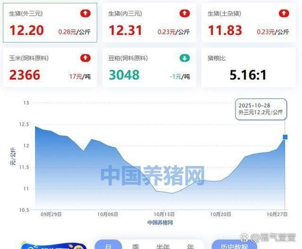 济源猪价行情