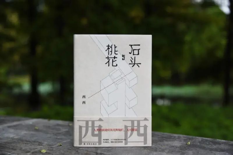 西西seo博客