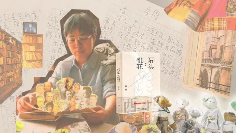 西西seo博客
