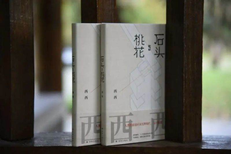 西西seo博客