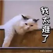 烫发技巧和步骤