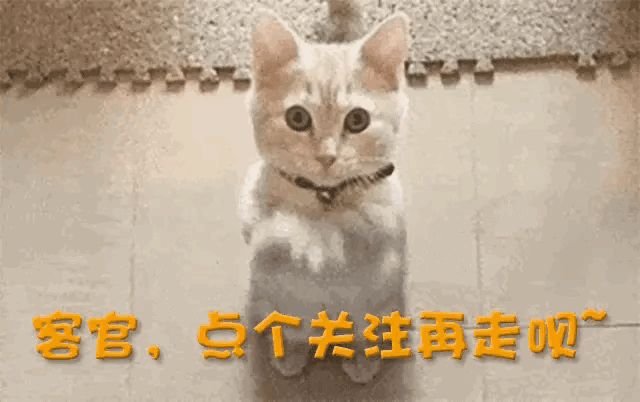 简述马拉维湖的成因以及发展趋势