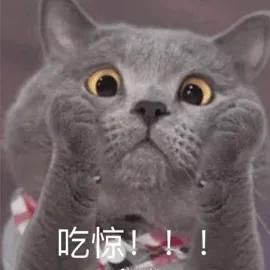 蛹虫草种植技术视频
