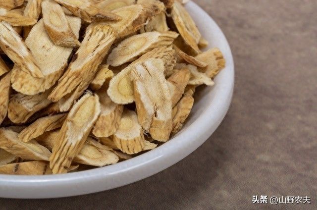黄芩种子多少钱一斤