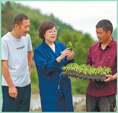 扶贫攻坚的中国经验