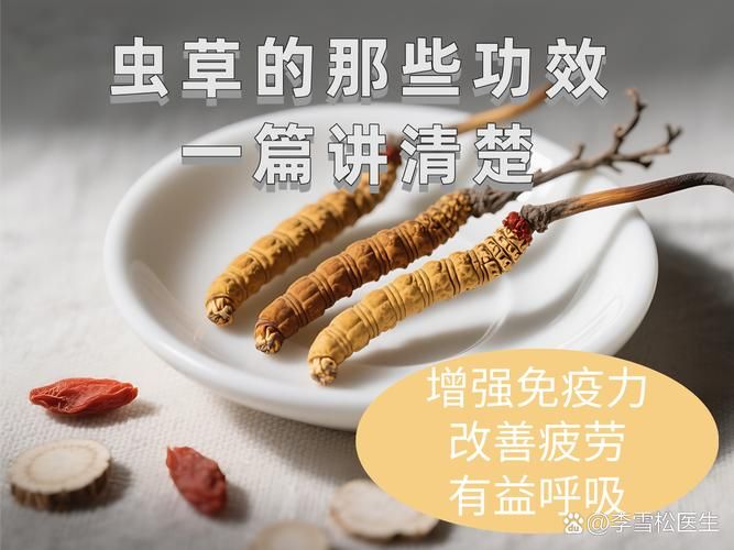蛹虫草种植技术视频