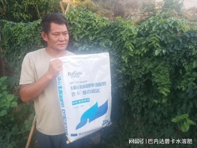 山药的种植方法图解