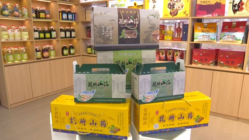 山药的种植方法图解