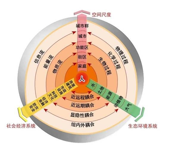 知识管理:原理与应用