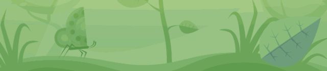 【初中生物】生物会考常考要点【生物圈中的人】重要知识点总结