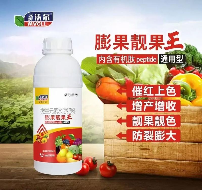 适合北方种植的果树