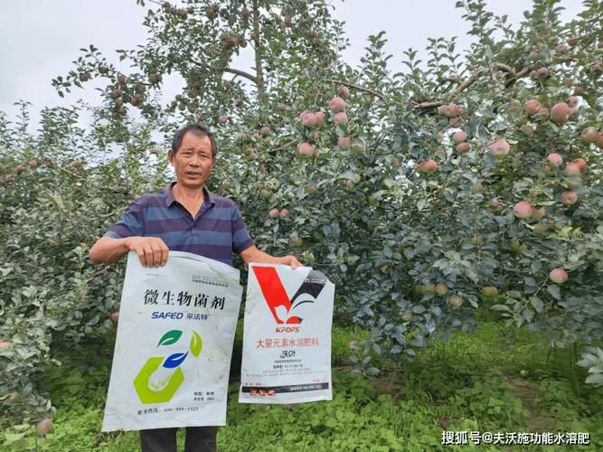 适合北方种植的果树