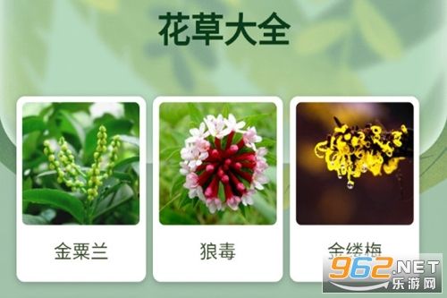 关于养花草知识下载什么软件