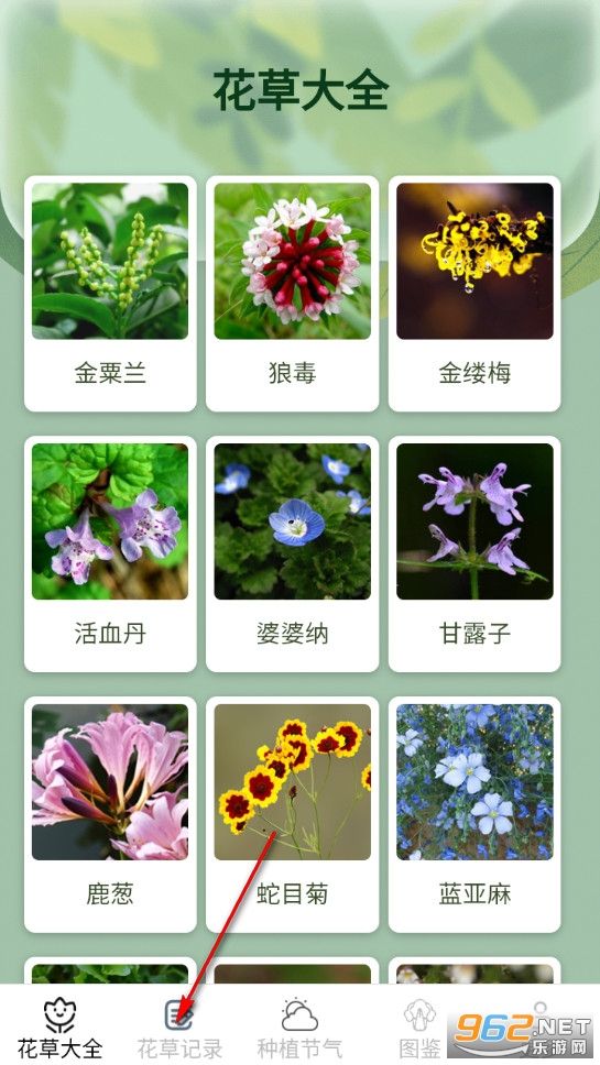 关于养花草知识下载什么软件