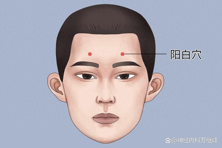 脸部按摩手法步骤图解