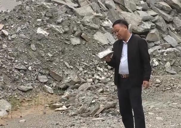 铁皮石斛大棚种植方法