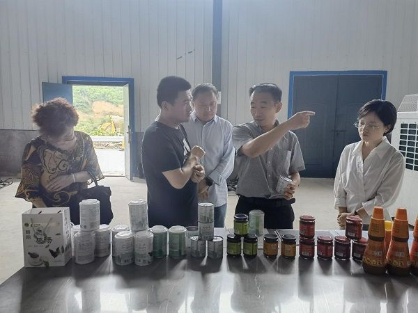 陕西天麻种植技术