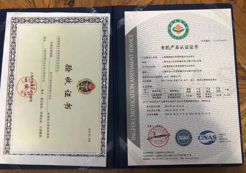 铁皮石斛大棚种植方法