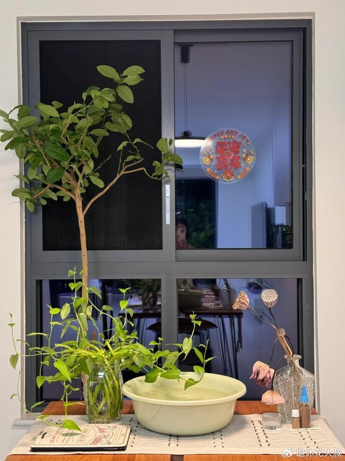 空心菜种植方法(图解)
