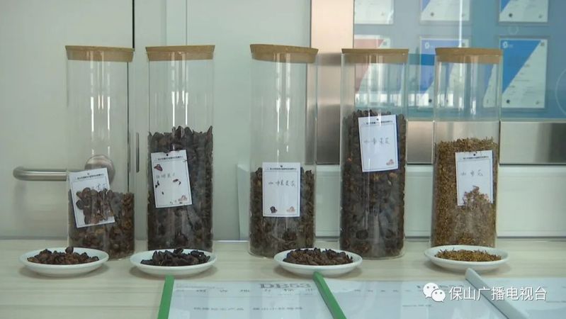 咖啡的种植技术