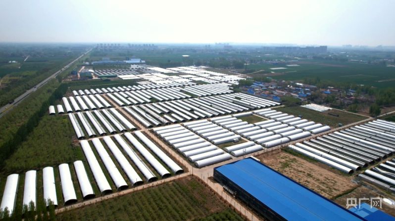 蘑菇种植技术视频播放