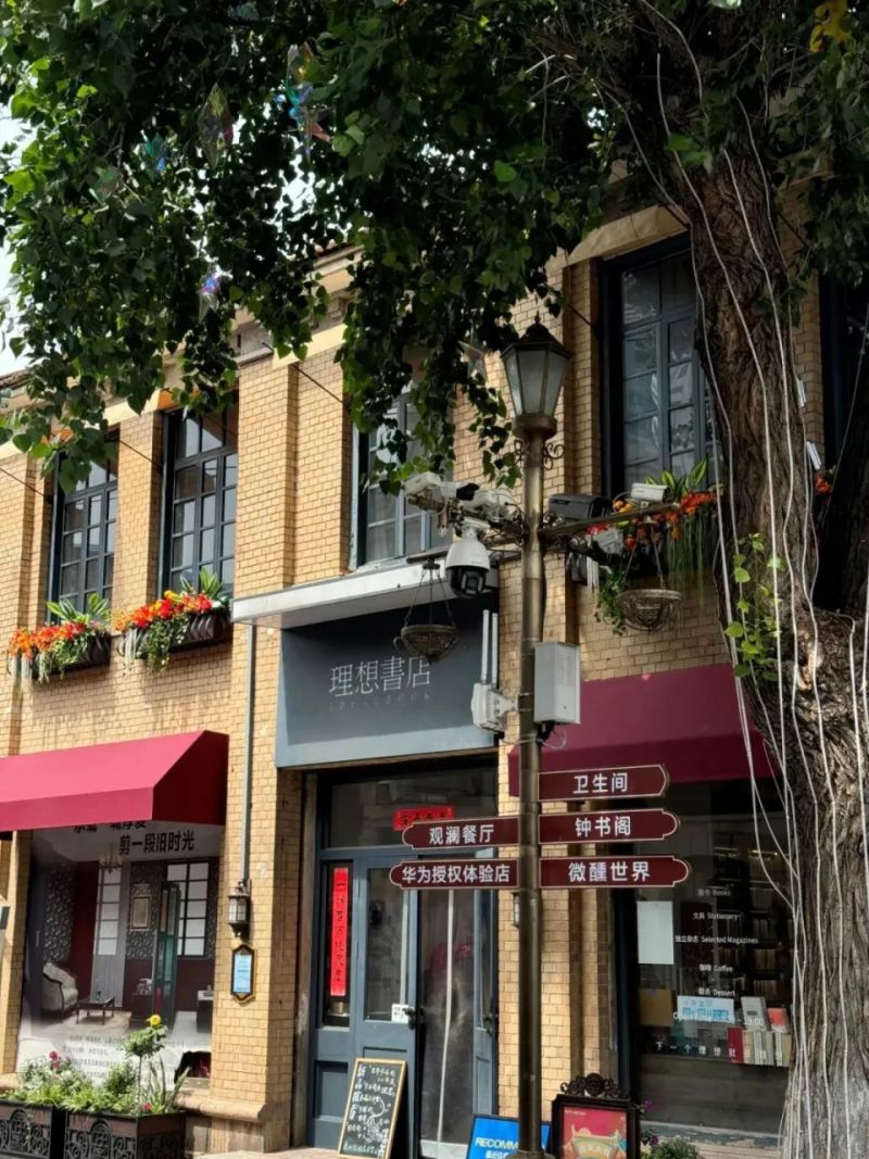 烟台网站优化公司