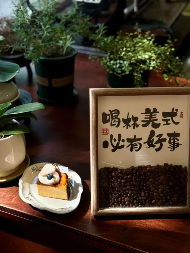 烟台网站优化公司