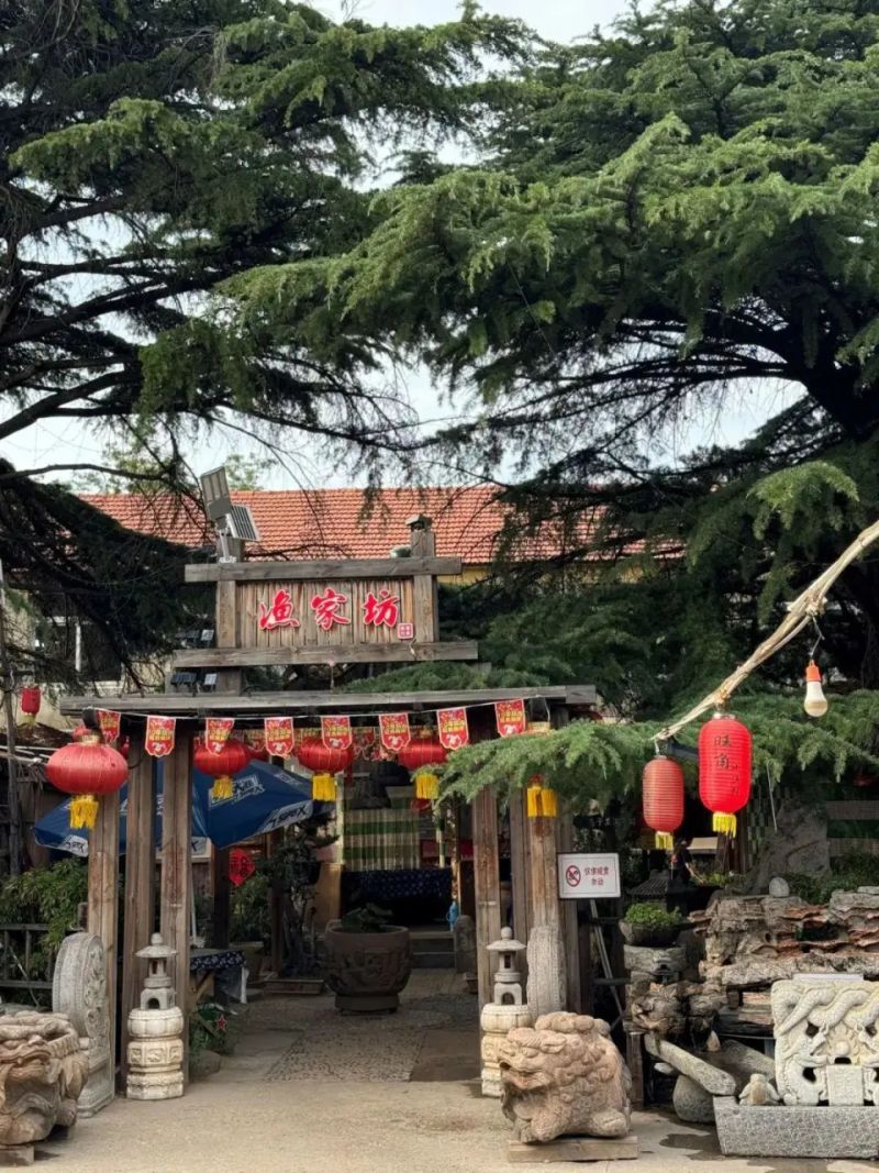 烟台网站优化公司