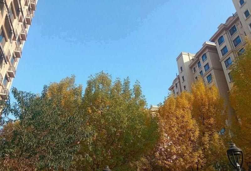 个人如何投资房地产 经验