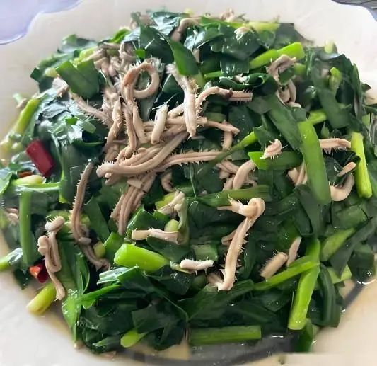 烟台网站优化公司