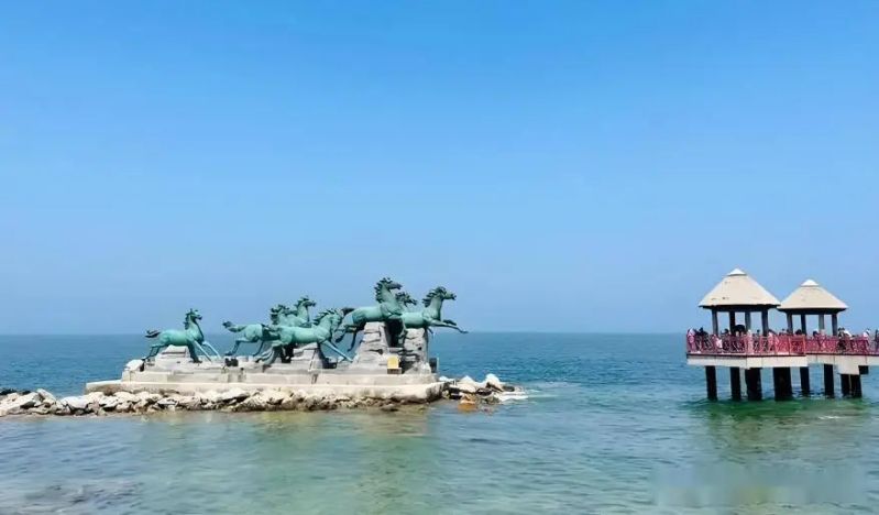 烟台网站优化公司