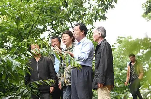 蘑菇种植技术视频播放