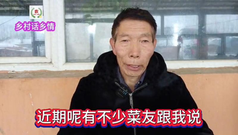 南方大蒜种植技术