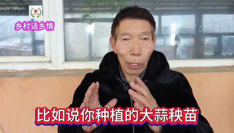 南方大蒜种植技术