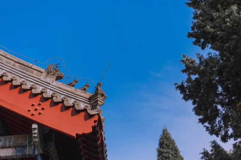 保定seo培训