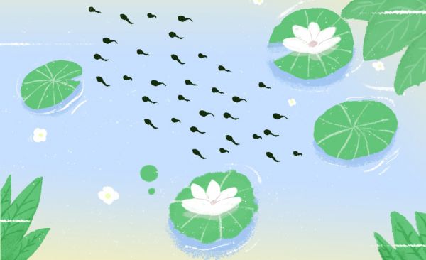 液晶电视进水怎么维修费用