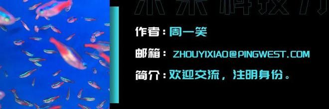 seo 反向链接