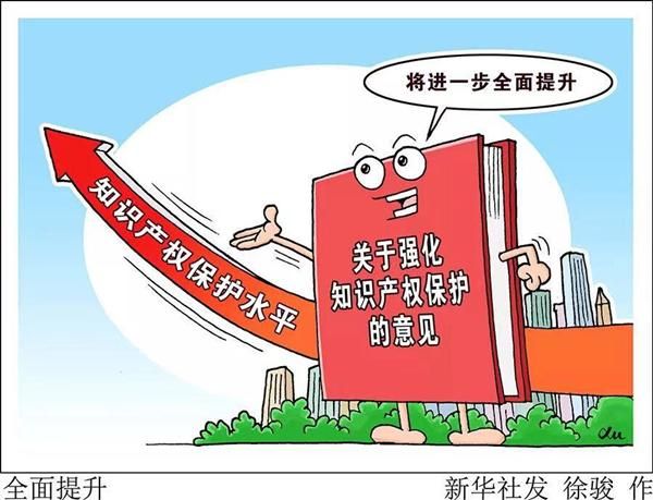 知识产权现状