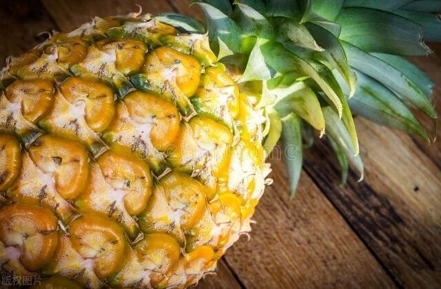 凤梨头种植方法图片