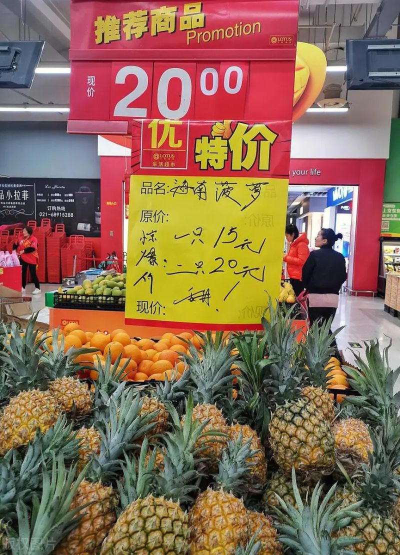 凤梨头种植方法图片