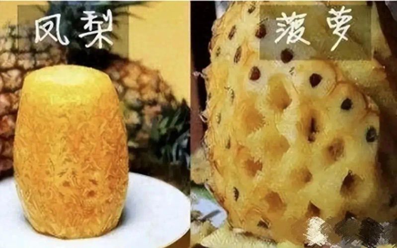 凤梨头种植方法图片