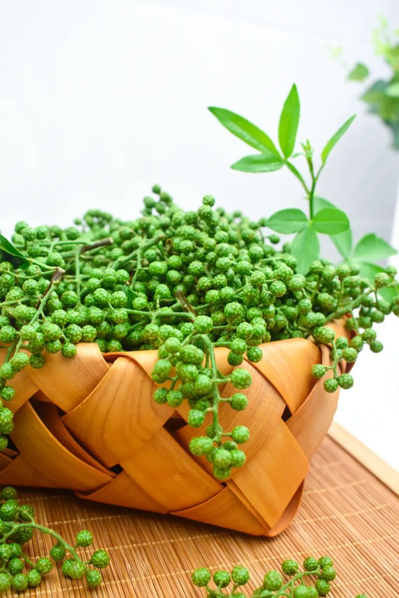 大红袍花椒种植技术