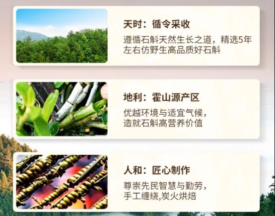 铁皮石斛种植技术视频