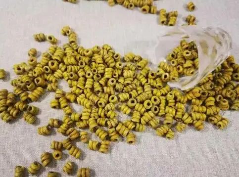 铁皮石斛种植技术视频