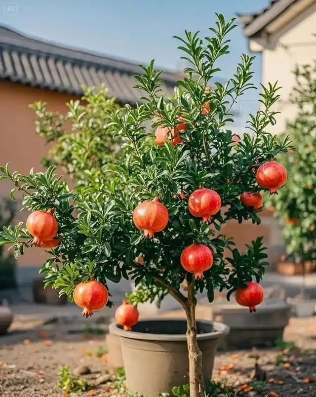 农村种植啥果树好挣钱